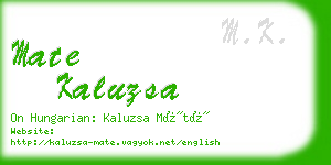 mate kaluzsa business card